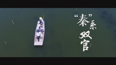 “秦”系双官.mp4