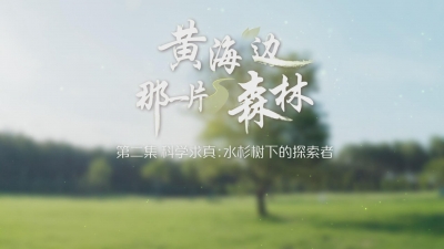 水杉树下的探索者.mp4