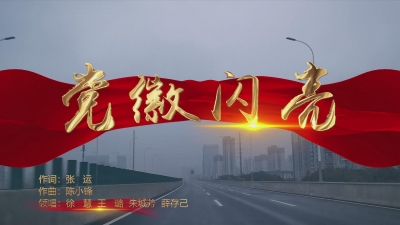 党徽闪亮.mp4