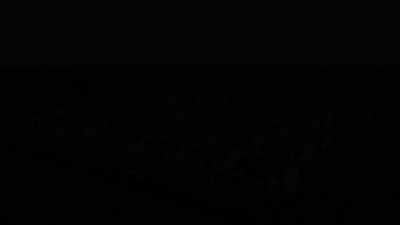 你的身影从未离开—— 杨斌