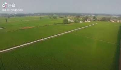 我的未来不是梦
