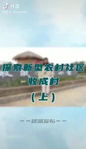 收成1.mp4