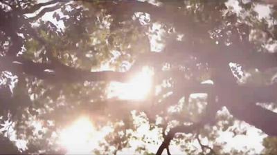 “疫”起坚守的一天