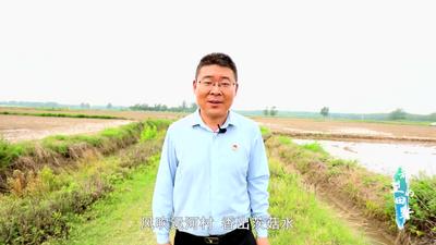 阜宁县张红军：奋力描绘“菇”乡好“钱”景