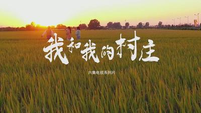我和我的村庄