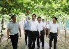 “联村”之举重“连心” “明朗”之路渐“明亮”　费坚赴挂钩村共商强村富民之策
