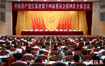 中国共产党江苏省第十四届委员会第四次全体会议决议