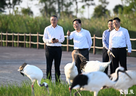 信长星在盐城调研时强调：把握战略定位 发挥比较优势 坚定不移走好安全绿色低碳高质量发展之路 