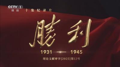 《胜利》 第1集 历史深处的回响.mp4