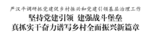 严汉平调研抓党建促乡村振兴和党建引领基层治理工作
